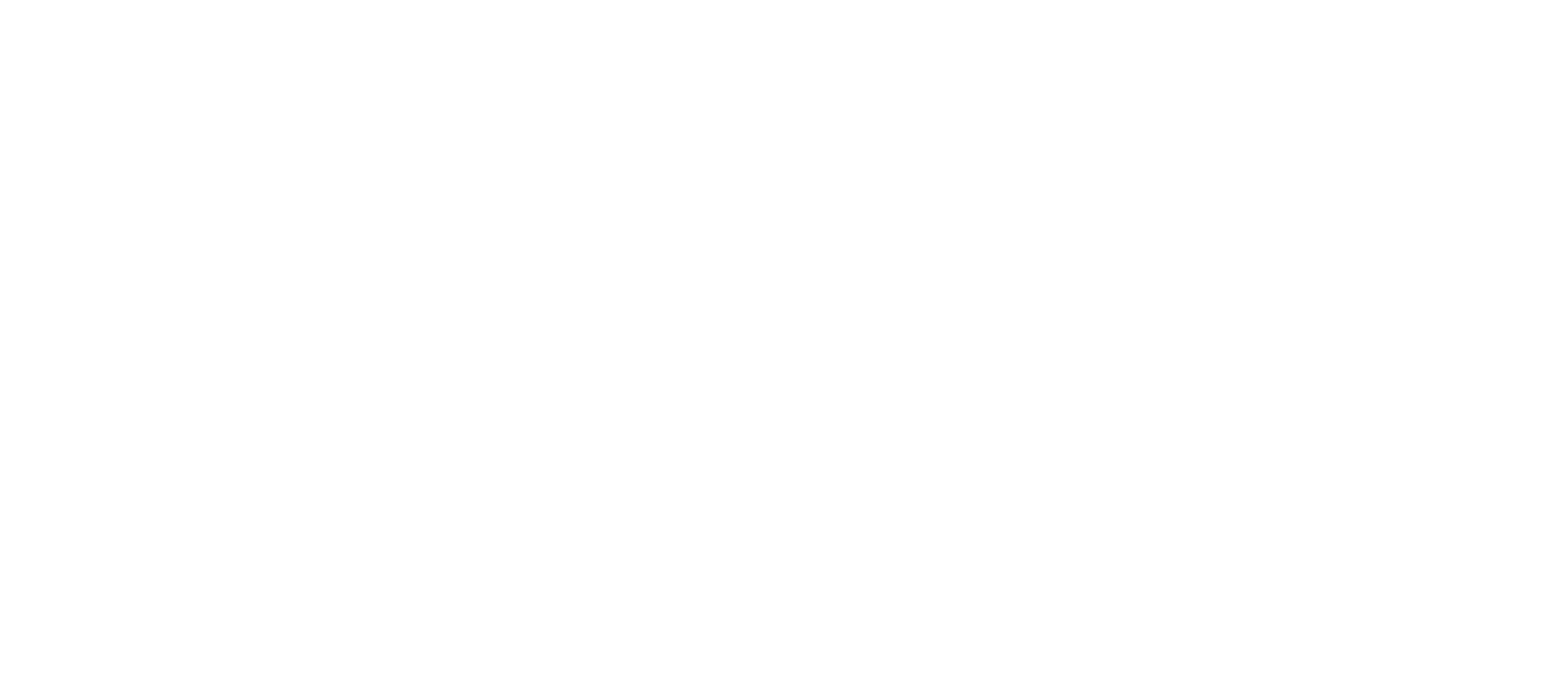Logo SKYN3T
